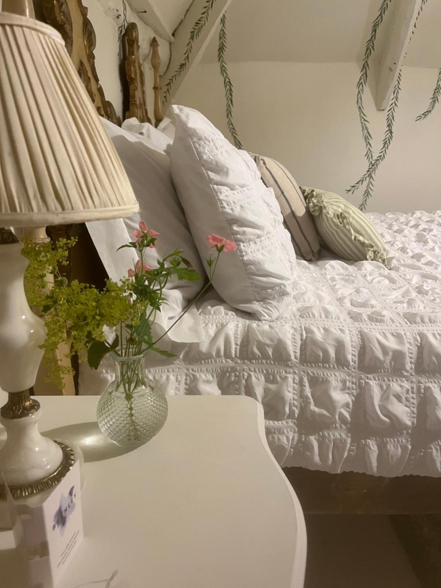 Bowlish House Bed & Breakfast Shepton Mallet Ngoại thất bức ảnh